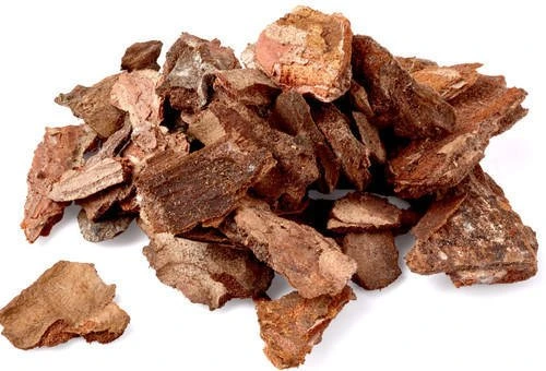 Pine Bark Extract